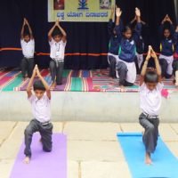 Activity1
